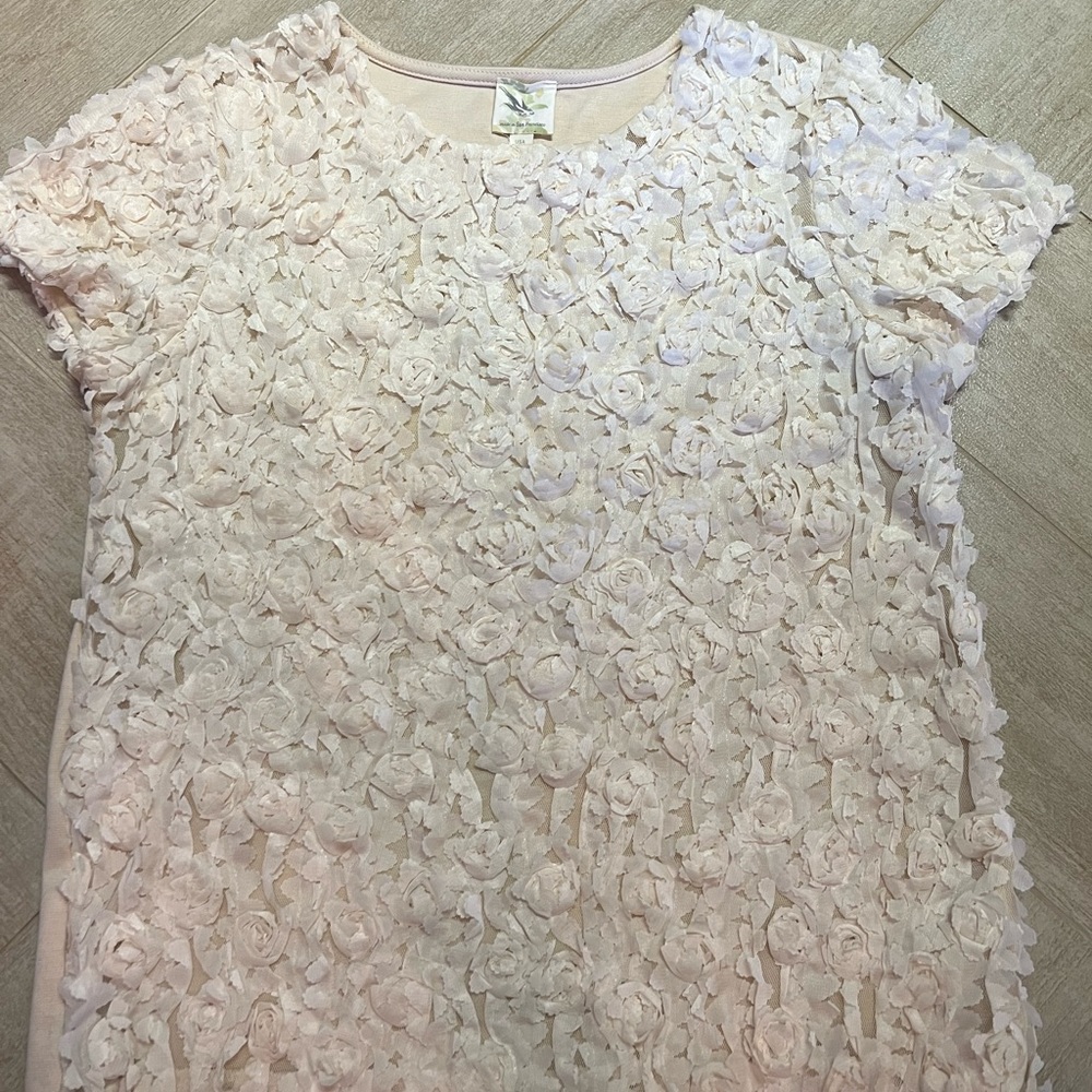 Anthropologie floral pink top